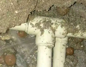 绵阳测漏水多少钱